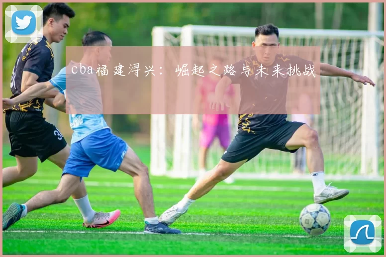 cba福建浔兴：崛起之路与未来挑战