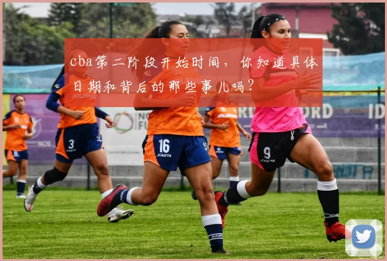 cba第二阶段开始时间,你知道具体日期和背后的那些事儿吗?